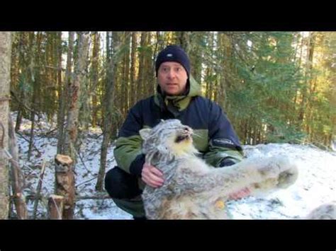 trapper gord|trapper gord hunting.